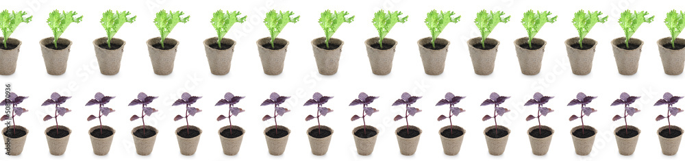 Fototapeta premium Many pots with plants isolated on white. Pattern for design