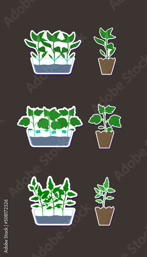 Poster with stickers of pepper  cucumber  and tomato sprouts. set of garden stickers