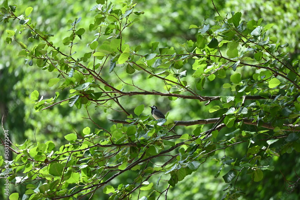 Reduce CO2.Sustainable Eco-friendly carbon dioxide Environment concept. Carbon neutral or carbon net-zero concept background photo Carbon neutral or carbon net-zero concept background photo. Reduce CO2.Sustainable Eco-friendly carbon dioxide Environment concept. Carbon neutral or carbon net-zero concept background photo Carbon neutral or carbon net-zero concept background photo.