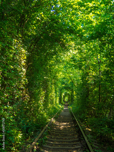 Scenic railway in the summer forest. Tunnel of love in Klevan, Ukraine. Railway surrounded by green arches and is three to five kilometers in length. It is known romantic place for couples.
