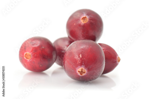 Raw ripe cranberries closed up isolated on white