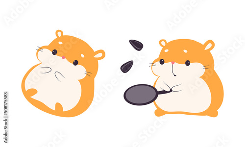 Cute Hamster Character with Stout Body Lying and Frying Sunflower Seeds Vector Set