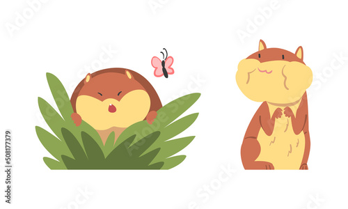 Cute Hamster Character with Stout Body Chewing Something and Peeking from Bush Vector Set