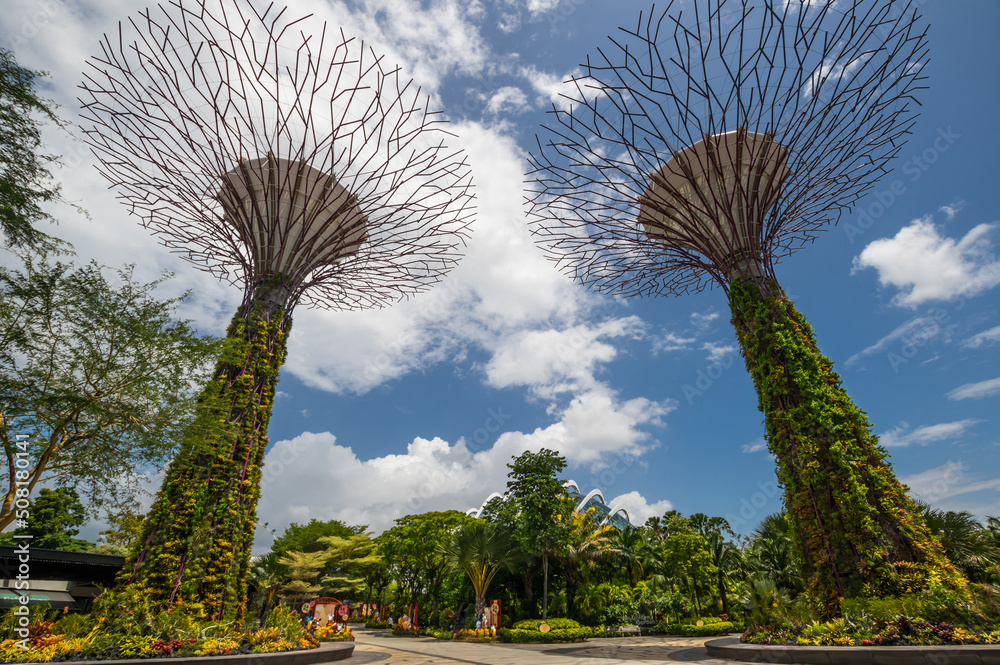 The Supertree Grove in Gardens by the Bay in Singapore