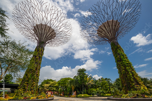 The Supertree Grove in Gardens by the Bay in Singapore © gumbao