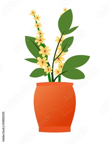 Gentle Indoor plants and flowers. In ceramic pots. Homemade beautiful herbs. Isolated on white background. Cartoon fun style. Vector