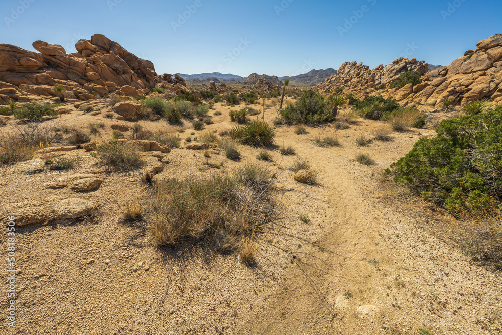Fototapeta premium hiking the maze loop in joshua tree national park, california, usa