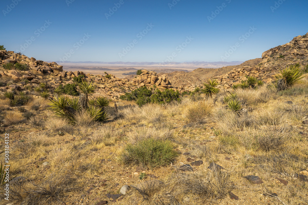 hiking the maze loop in joshua tree national park, california, usa