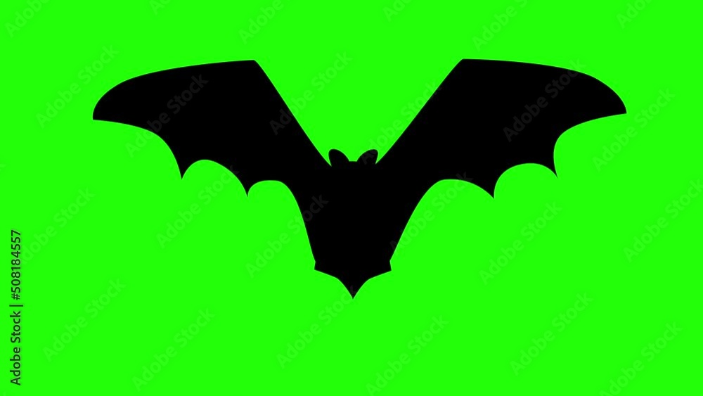Animation of a flying bat isolated on green screen. Seamless loop. Halloween concept. Animation of a flying bat isolated on green screen. Seamless loop. Halloween concept.