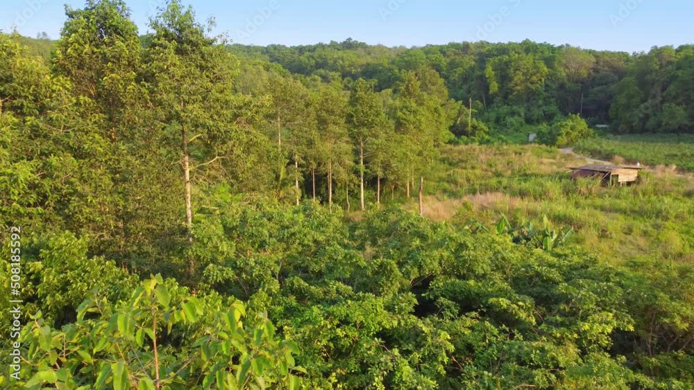 Beautiful aerial view of tropical rainforest in Asia, Thailand. Beautiful aerial view of tropical rainforest in Asia, Thailand.