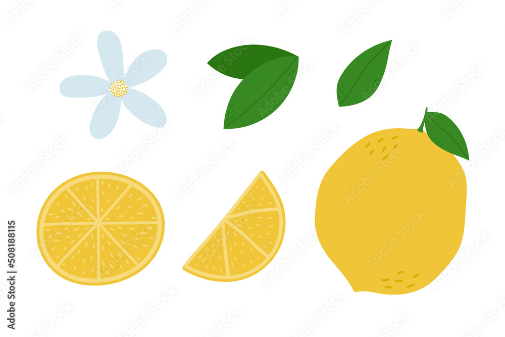 Hand drawn lemon collection. Whole lemon, slices, flower and leaves. Isolated vector illustration Hand drawn lemon collection. Whole lemon, slices, flower and leaves. Isolated vector illustration