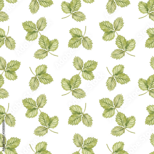 Watercolor seamless pattern with vintage strawberry green leaves. Isolated on white background.