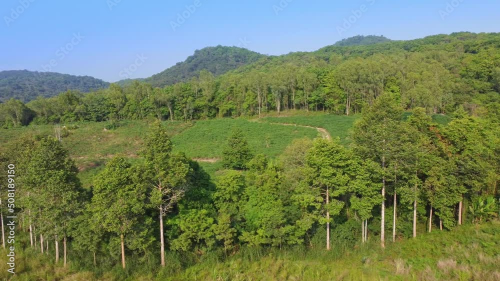 Beautiful aerial view of tropical rainforest in Asia, Thailand. Beautiful aerial view of tropical rainforest in Asia, Thailand.
