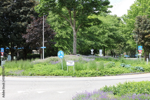 Bepflanzter Verkehrs-Kreisel in Holland