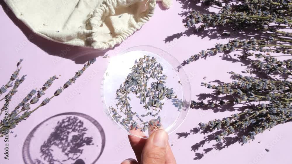 Dry lavender and fresh lavender flowers. Top view.lavender flowers for sachets. Sachets with his