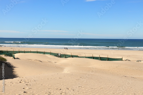 Poles with netting in dunes  used to stabilize the sand of the dunes at Witsand  Western Cape  South Africa.