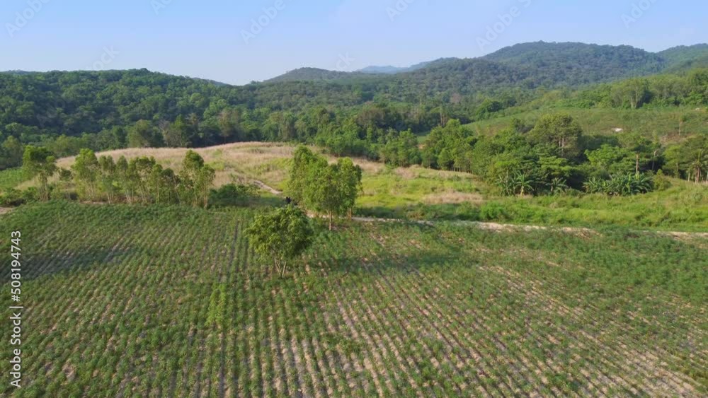 Beautiful aerial view of tropical rainforest in Asia, Thailand. Beautiful aerial view of tropical rainforest in Asia, Thailand.