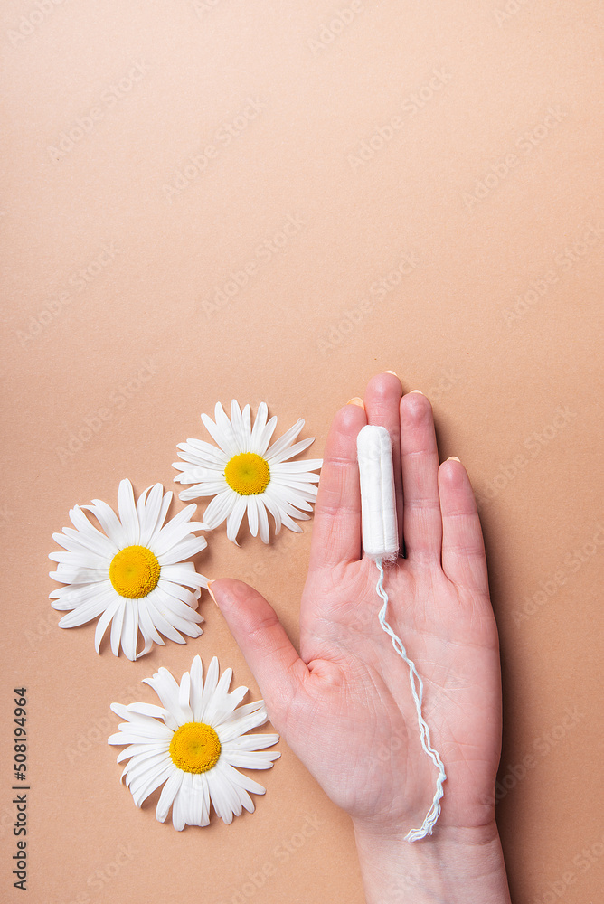 female tampon in hand bloom chamomile flower lie flat lay on brown pastel background. copy space