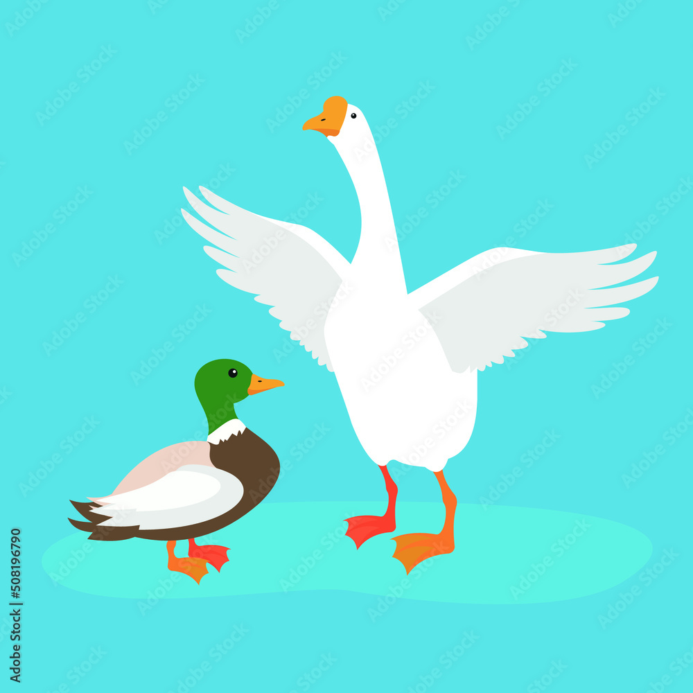 Duck and white goose spread their wings Duck and white goose spread their wings
