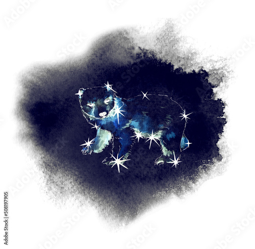 Constellation Ursa - bear animal with stars in night sky. Watercolor