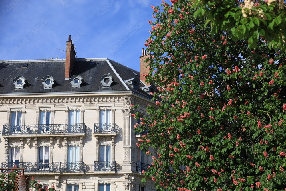 Typical building in Grenoble. Blossoming tree in spring.