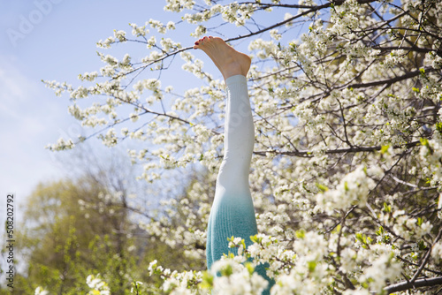 Fototapeta A young woman makes Yoga exercise complex