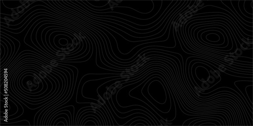Abstract background with topographic lines .Digital Contour curve dot and line ripple and wave with wireframe . Abstract Background for 3D Futuristic technology concept paper texture design and Vector