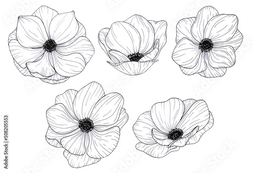 Canvastavla Set of flowers anemons, hand-drawn illustration