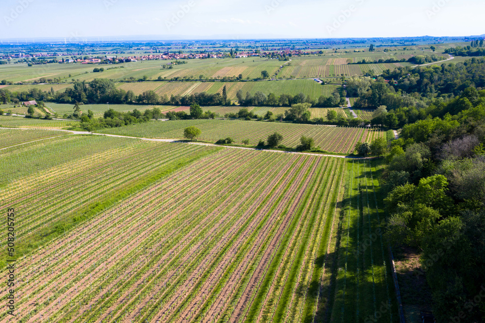 Aerial view from nature reserve
the little Kalmit. Is located in the east of the Palatinate Forest near the wine and holiday resort of Ilbesheim. 
German Wine Road, Vineyard Palatinate region.