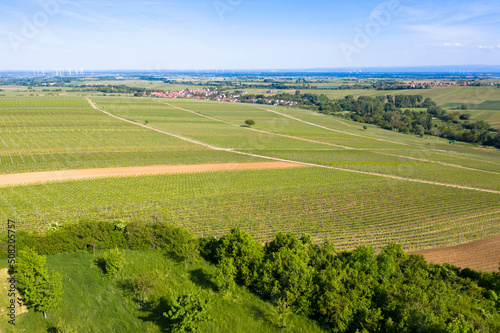 Aerial view from nature reserve the little Kalmit. Is located in the east of the Palatinate Forest near the wine and holiday resort of Ilbesheim.  German Wine Road  Vineyard Palatinate region.
