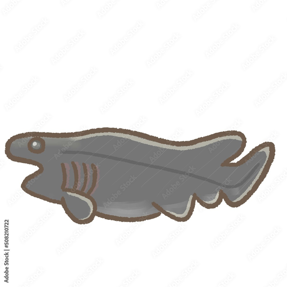 Fototapeta premium R:もっとメルヘンな水族館☆深海魚 ラブカ③