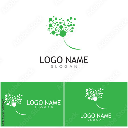 Dandelion flower logo vector template design