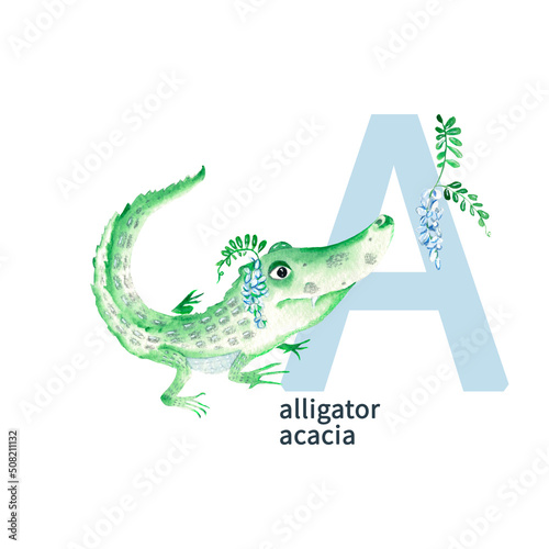 Letter A, alligator, acacia, cute kids colorful animals and flowers ABC alphabet. Watercolor illustration isolated on white background. photo