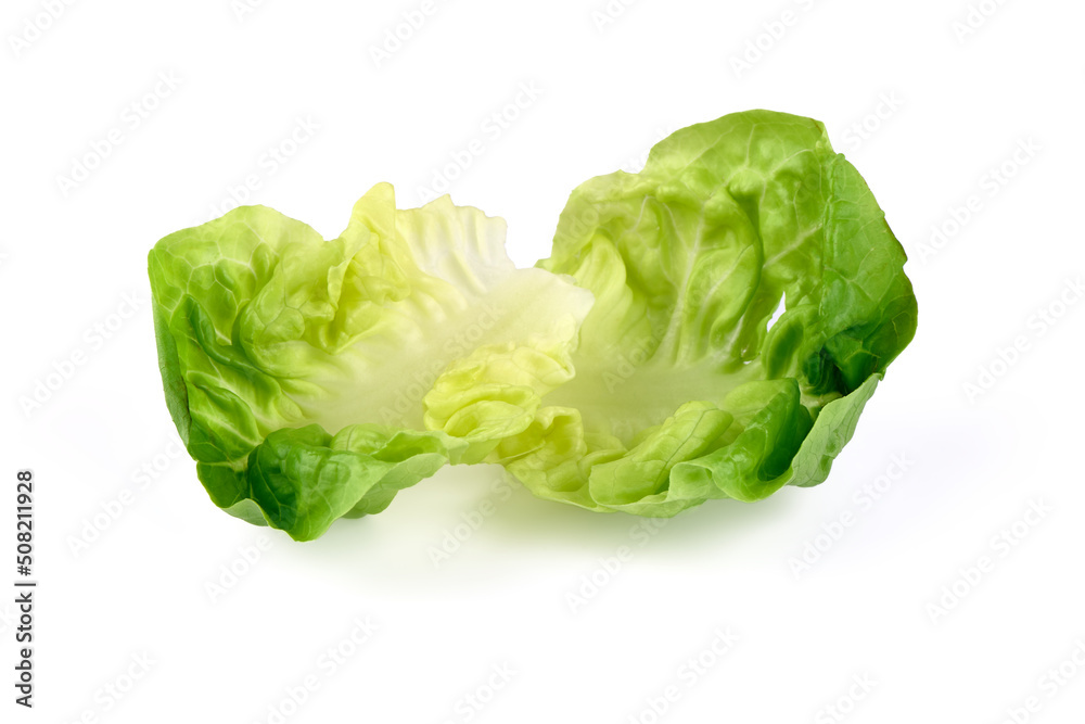 Fresh butter lettuce, isolated on white background. Fresh butter lettuce, isolated on white background.