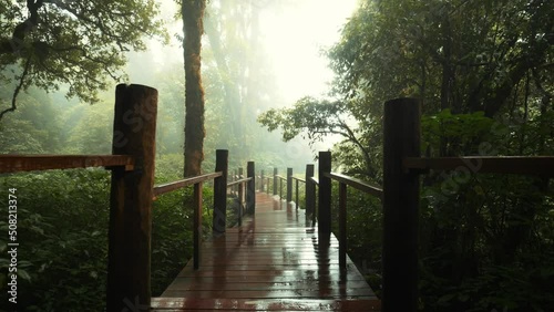 Walking on wooden deck path in rainy foggy rainforest jungle high quality 4K slowmotion steadycam footage, Thailand. photo