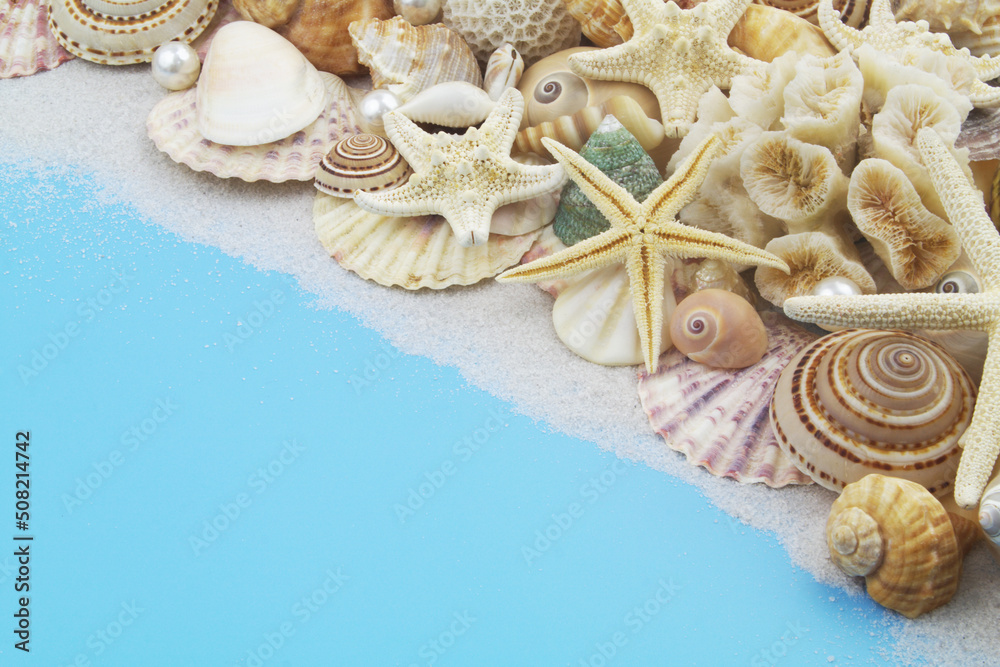 Many seashells with different starfishes, pearls and corals on blue background.	