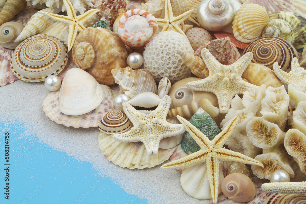 Starfishes, pearls and corals with seashells on blue background
Starfishes, pearls and corals with seashells on blue background