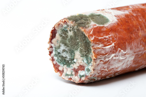 Spoiled food, sausage and moldy cheese on a white background. Mold close-up macro. Moldy fungus on food. Fluffy spores mold as a background or texture. Mold fungus. Abstract background with copy space