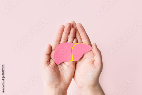 World hepatitis day. Adult hands holding donation liver on pink background. Awareness of prevention and treatment viral hepatitis. Liver cancer. World cancer day. copy space. banner photo