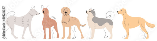 dogs stand doodle sketch  outline  isolated  vector