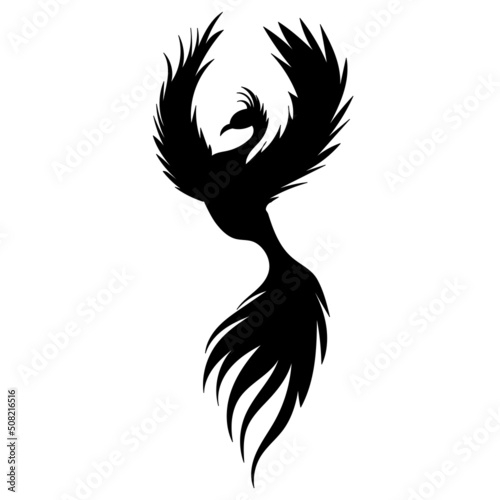 fire bird silhouette on white background, isolated, vector