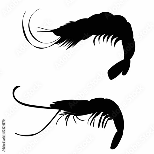 shrimp silhouette on white background, isolated, vector
