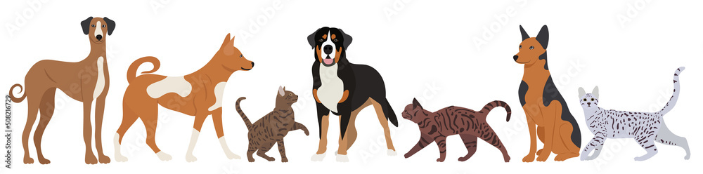 Fototapeta premium dogs and cats in flat design isolated, vector