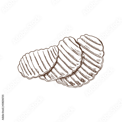 Vector  sketch of potato .crisps. Eco food vintage vector illustration.  Starch sketch illustration for print, web, mobile and infographics isolated on white background.
