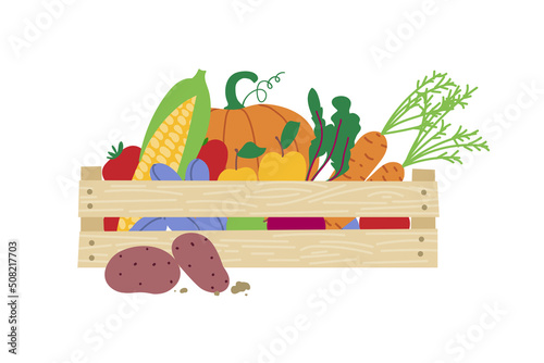 Local organic harvested crops in a wooden box isolated on white background. Agricultural concept. Vector illustration.