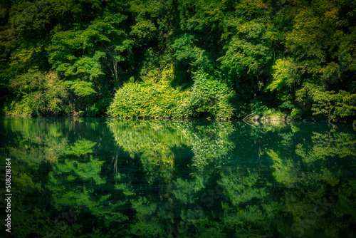 Beautiful summer season scene of lake. green reflective forest view of Japan Asia. Water reflection nature photography. Beauty of nature concept background.