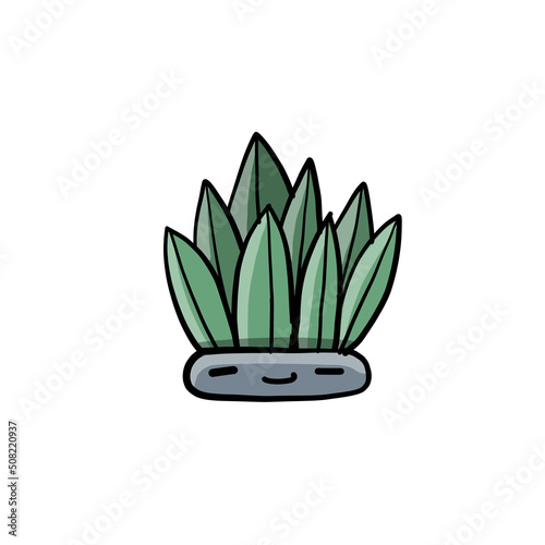 Cartoon cactus character. Kawaii potted plant for your design