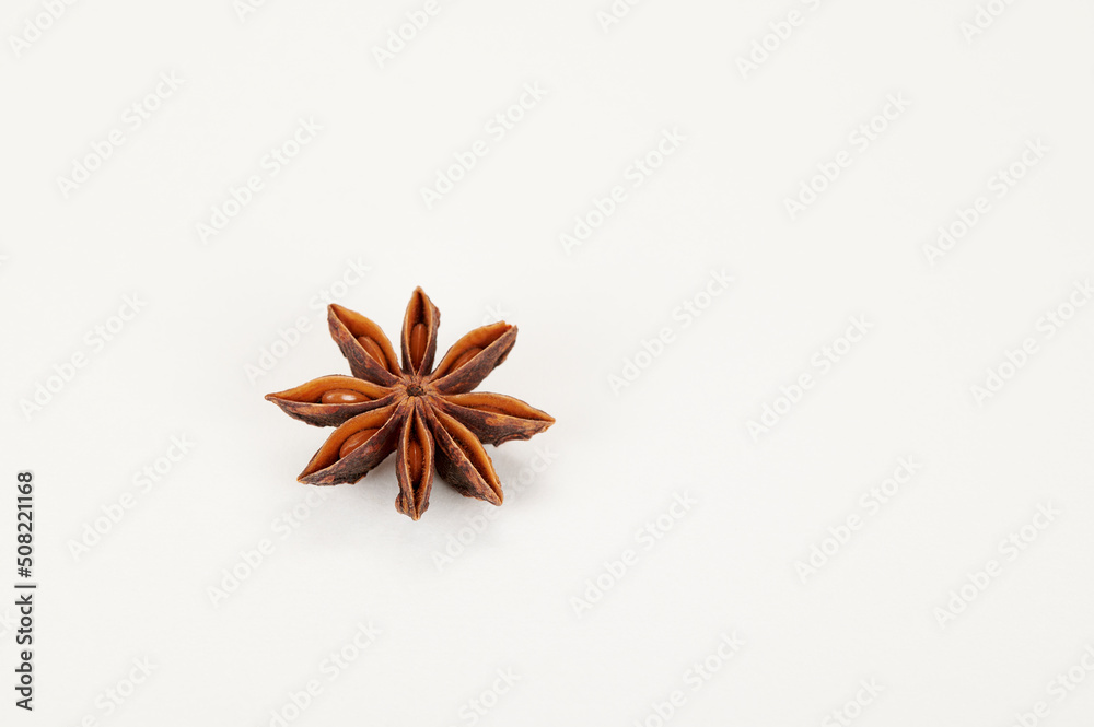 Closeup (macro) shot of single star anise on a white background Closeup (macro) shot of single star anise on a white background