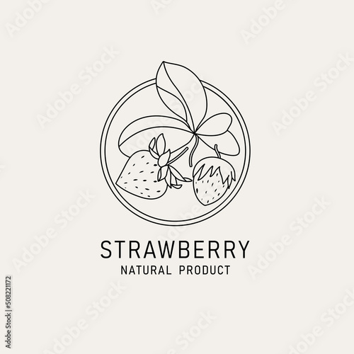 Vector illustration strawberry fruits - vintage minimalist style. Logo composition in retro botanical style.