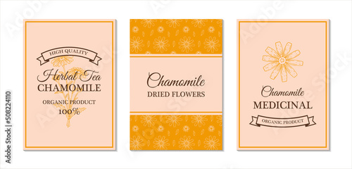 Set of hand drawn vintage chamomile herbal tea packaging designs. Vector illustration in sketch style